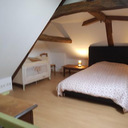 Willa Chez Laiko Wifi Gratuit Beaulieu-sur-Loire Zewnętrze zdjęcie