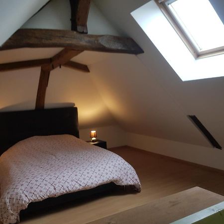 Willa Chez Laiko Wifi Gratuit Beaulieu-sur-Loire Zewnętrze zdjęcie