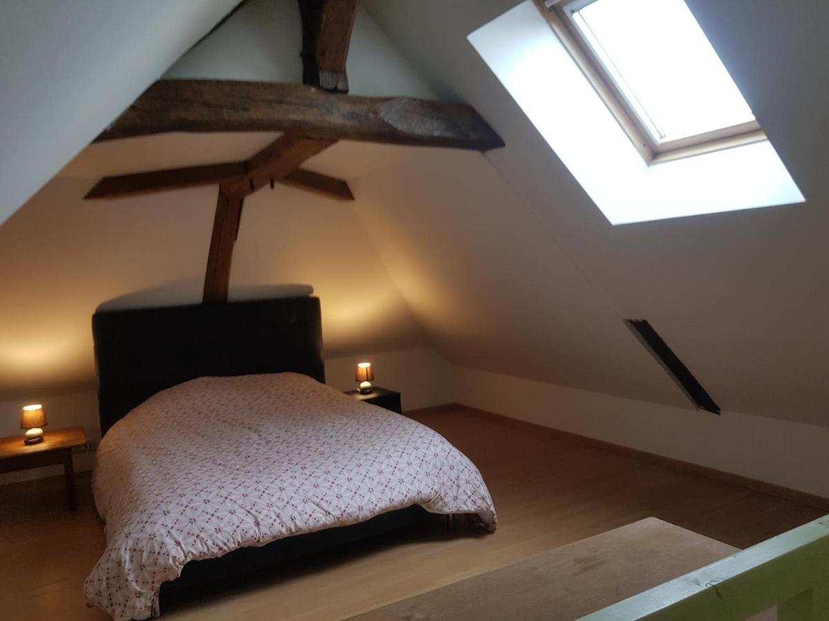 Willa Chez Laiko Wifi Gratuit Beaulieu-sur-Loire Zewnętrze zdjęcie